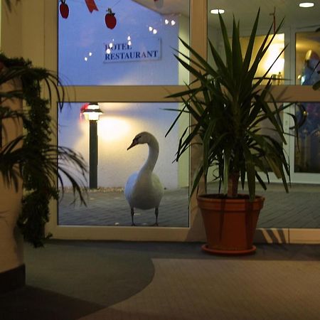 Seehotel Luisenhof Falkenhagen  Extérieur photo